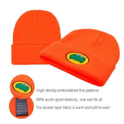 Cartoon frog woolen hat parrot the rapper knit hat pullover warm cold hat for men and women - ACCEHUT
